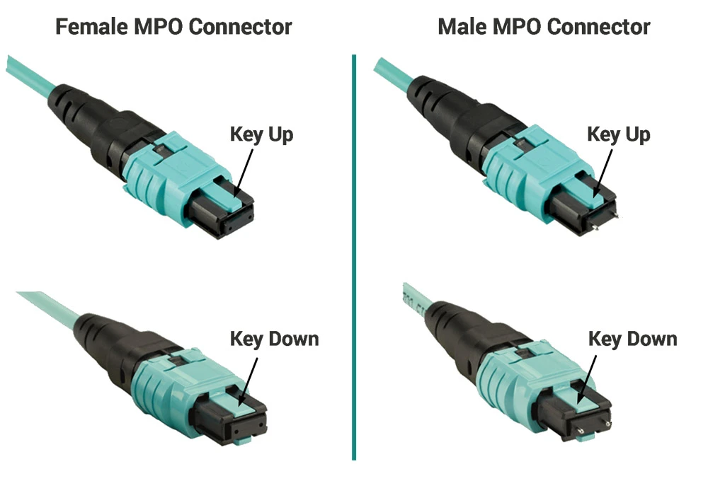 MPO MTP Connector MPO MTP Connector