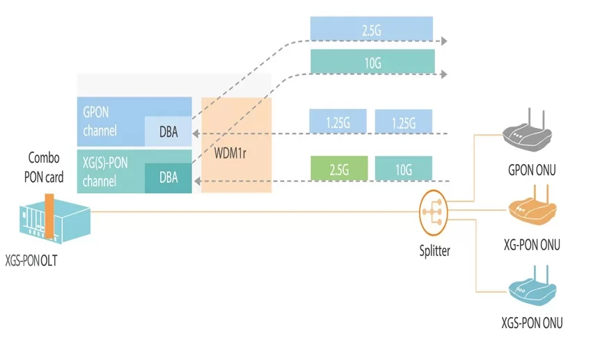 XGSPON OLT Network Application XGSPON OLT Network Application