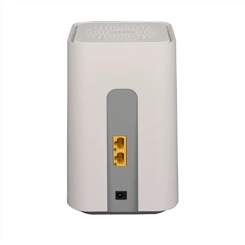 1GE più 1FE Wireless Router Supporta la connessione in rete